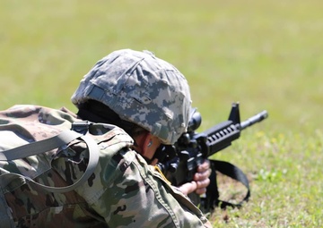 Taking aim at the ALL-ARMY