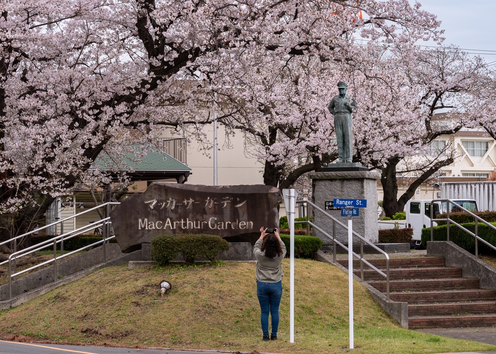 Spring Onboard Naval Air Facility Atsugi