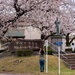 Spring Onboard Naval Air Facility Atsugi