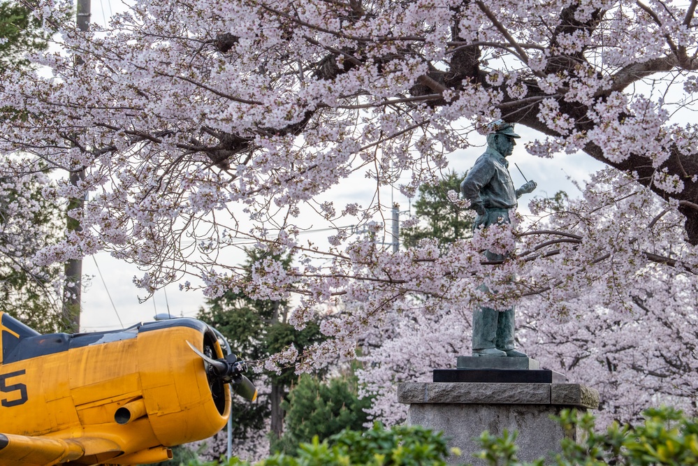 Spring Onboard Naval Air Facility Atsugi