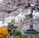 Spring Onboard Naval Air Facility Atsugi