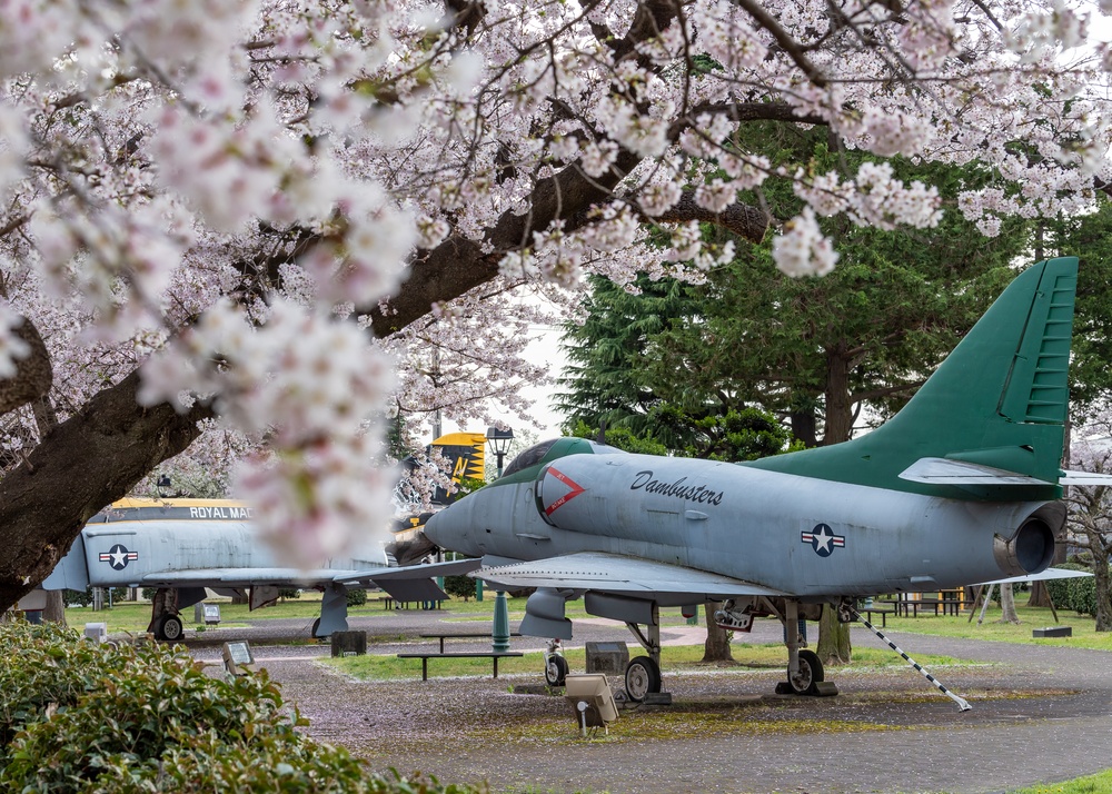 Spring Onboard Naval Air Facility Atsugi