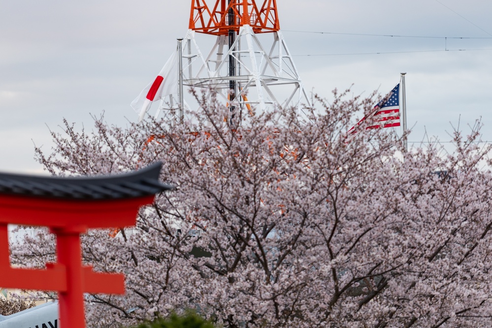 Spring Onboard Naval Air Facility Atsugi