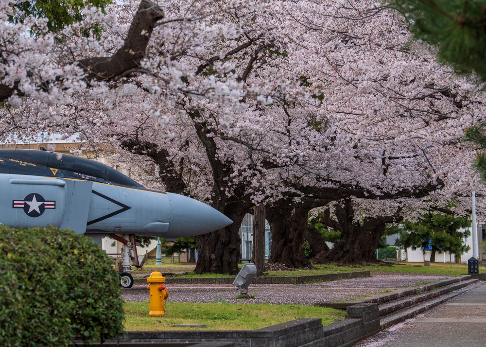 Spring Onboard Naval Air Facility Atsugi