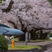 Spring Onboard Naval Air Facility Atsugi