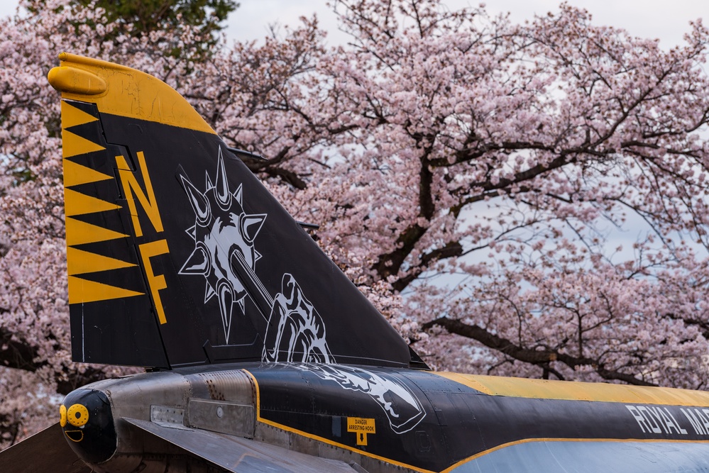 Spring Onboard Naval Air Facility Atsugi