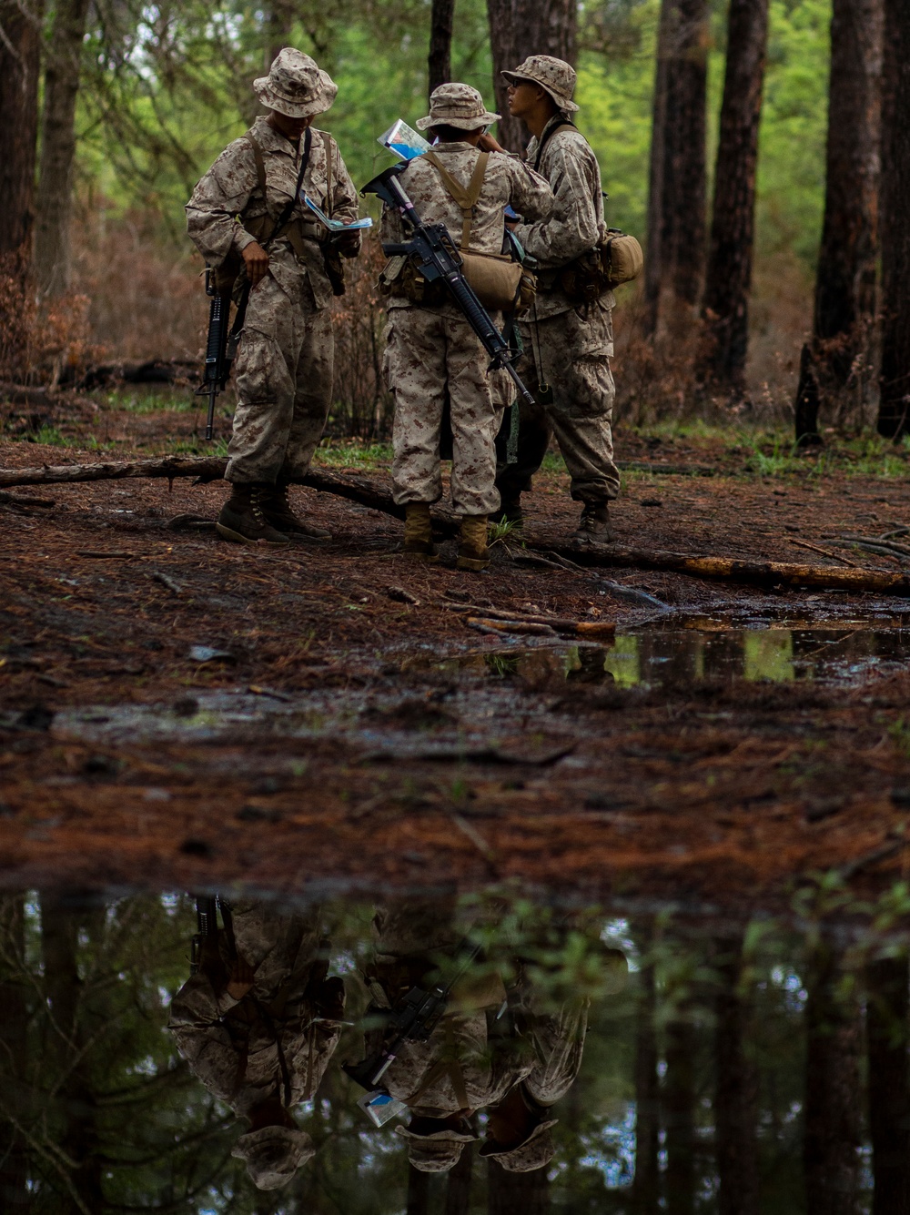 Hotel Company Land Navigation