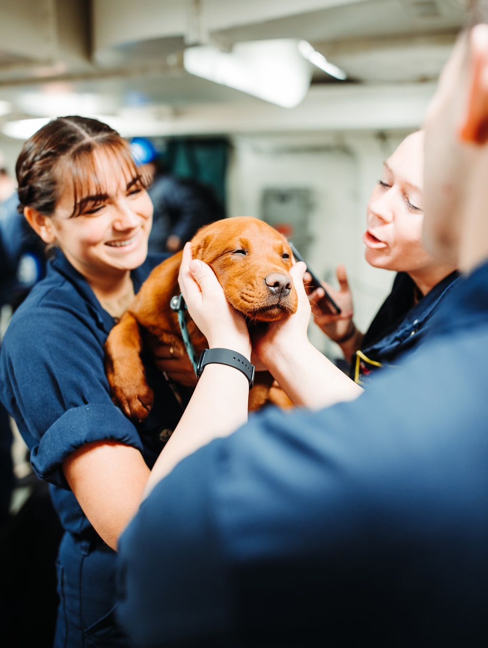 Mutts With a Mission Visit Sailors aboard George Washington