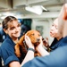 Mutts With a Mission Visit Sailors aboard George Washington