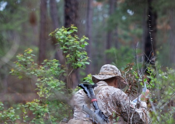 Hotel Company Land Navigation