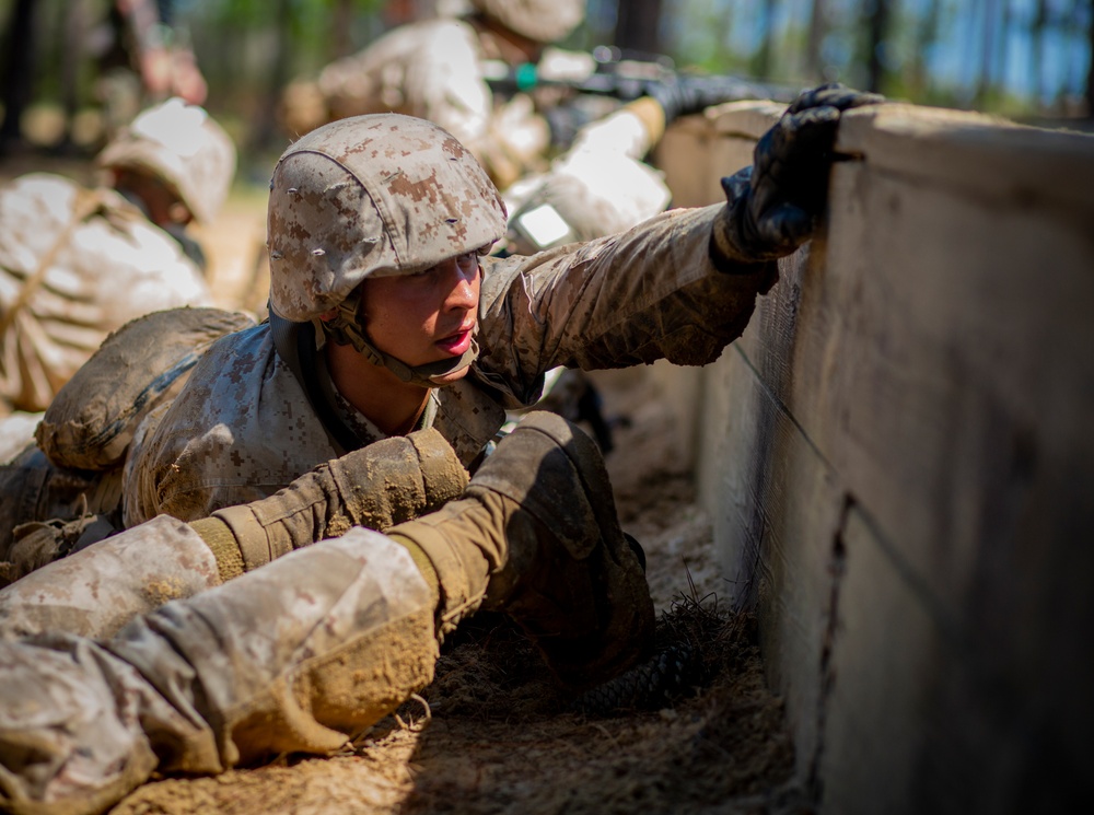 DVIDS - Images - Hotel Company Basic Warrior Training [Image 12 Of 13]