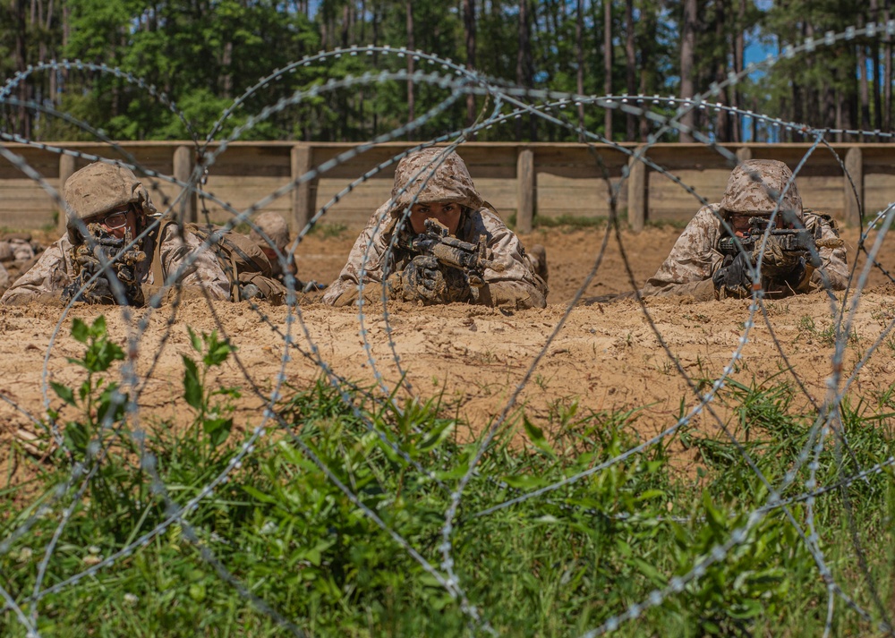 DVIDS - Images - Hotel Company Basic Warrior Training [Image 13 Of 13]