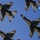 Thunderbirds bring the ‘thunder’ to Thunder and Lightning over Arizona