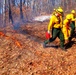 Fort McCoy prescribed burn team manages remote prescribed burn at installation