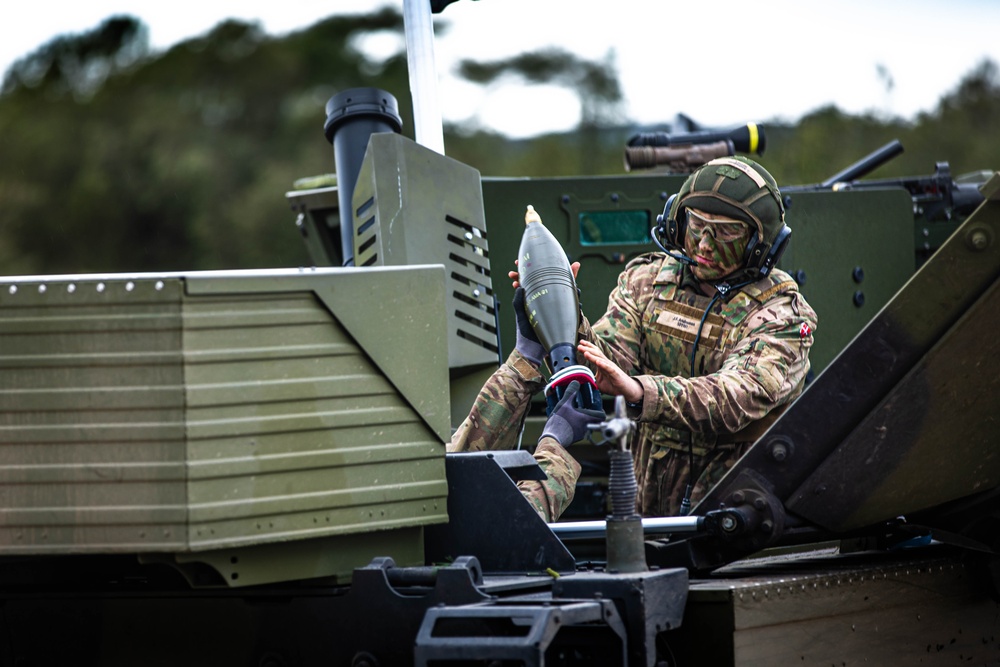 Danish Soldiers Conduct Live-Fire Operation During Dynamic Front 23