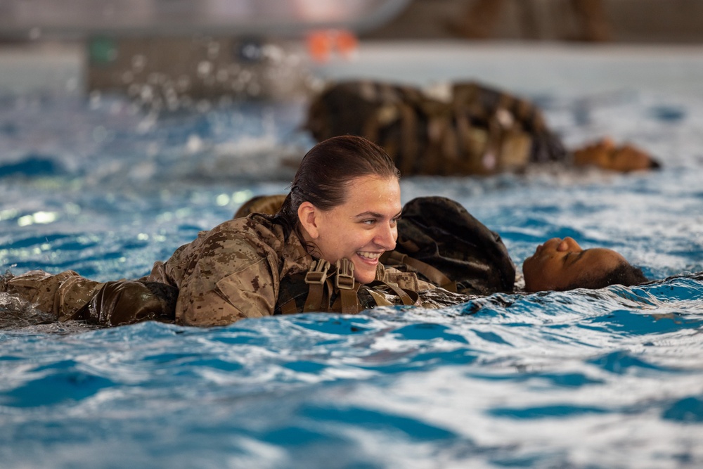 Who knew Devil Dogs could swim?