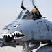 A-10s arrive at Al Dhafra Air Base