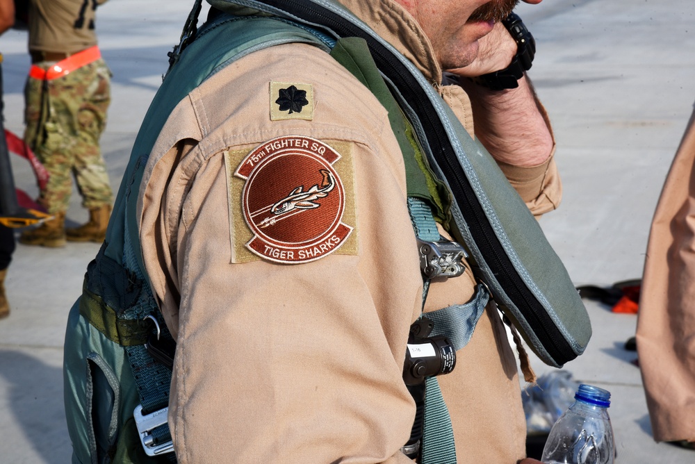 A-10s Arrive at Al Dhafra Air Base