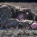 1-114th Reconnaissance and Sniper Platoon Ghillie Wash