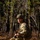 Bravo Co. 1-114th conducts training