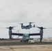 VMM-363 Prepares for MRF-D