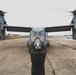 VMM-363 Prepares for MRF-D