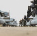 VMM-363 Prepares for MRF-D