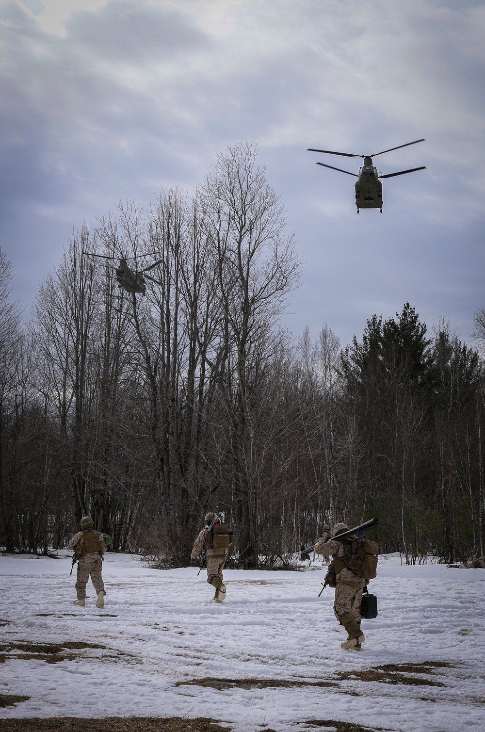 1/10 Chinooks and Howitzers Training