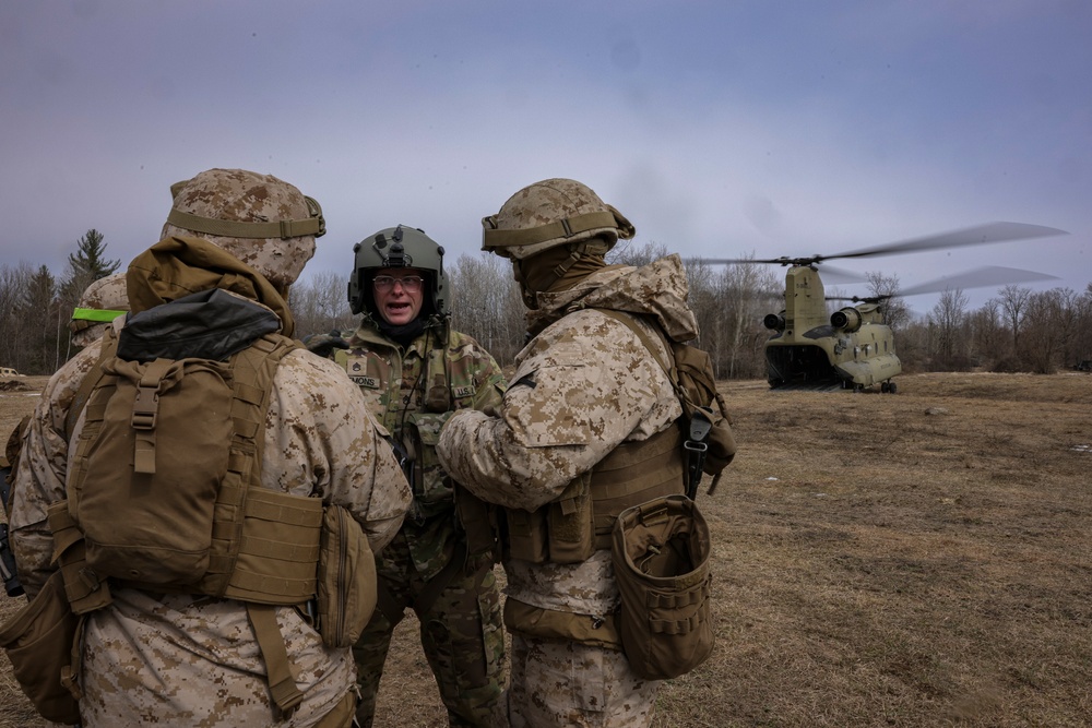 1/10 Chinooks and Howitzers Training