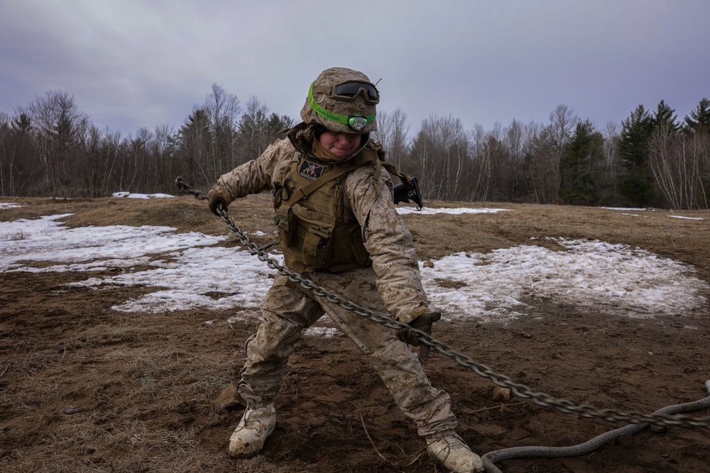 1/10 Chinooks and Howitzers Training