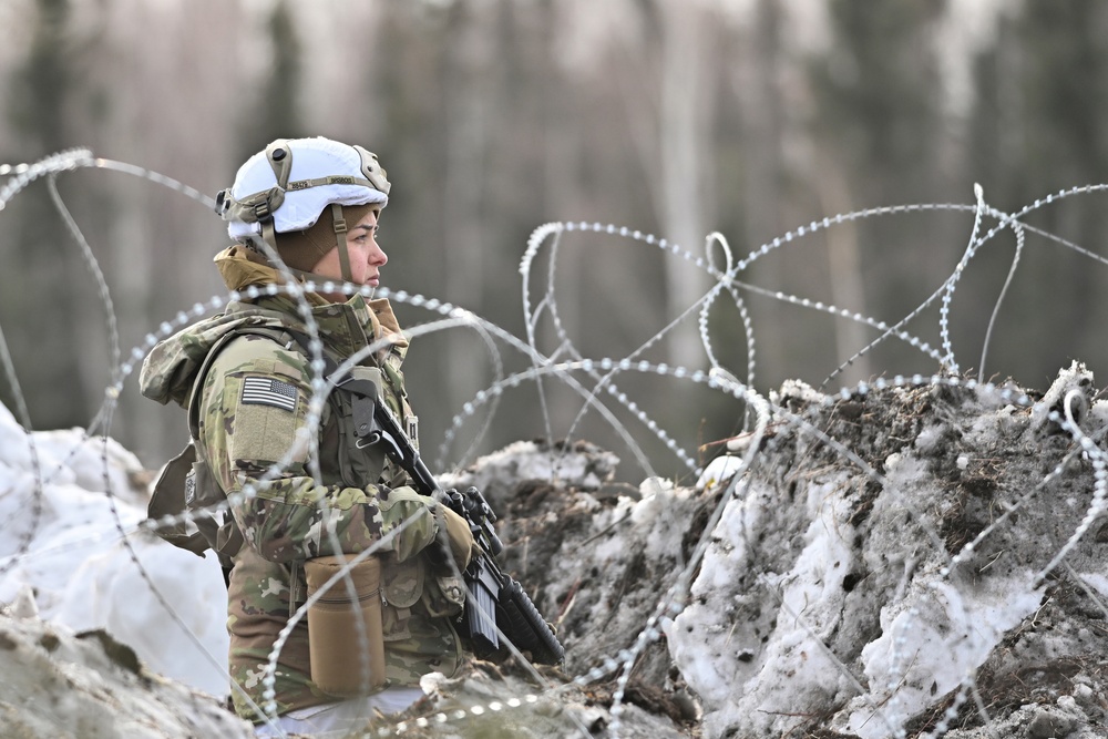 DVIDS - Images - Joint Pacific Multinational Readiness Center-Alaska 23 ...