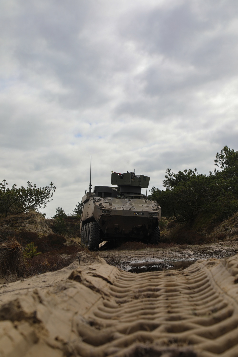 Danish 1st Artillery Battalion Conducts live fire during Dynamic Front 23