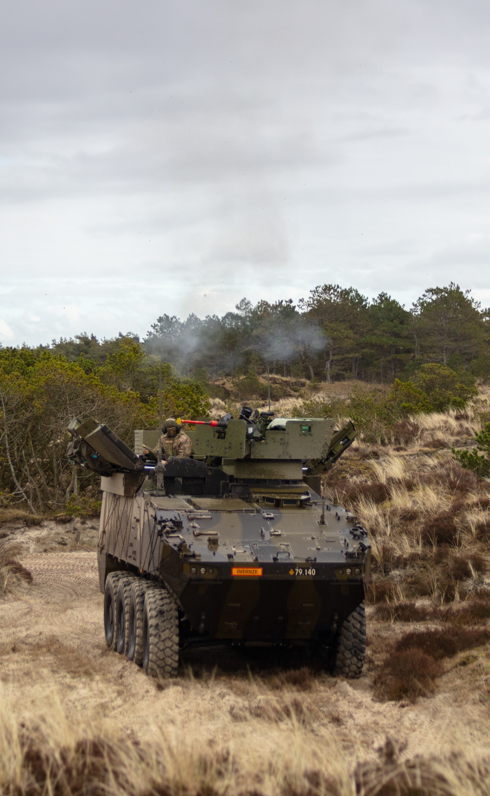 Danish 1st Artillery Battalion Conducts live fire during Dynamic Front 23