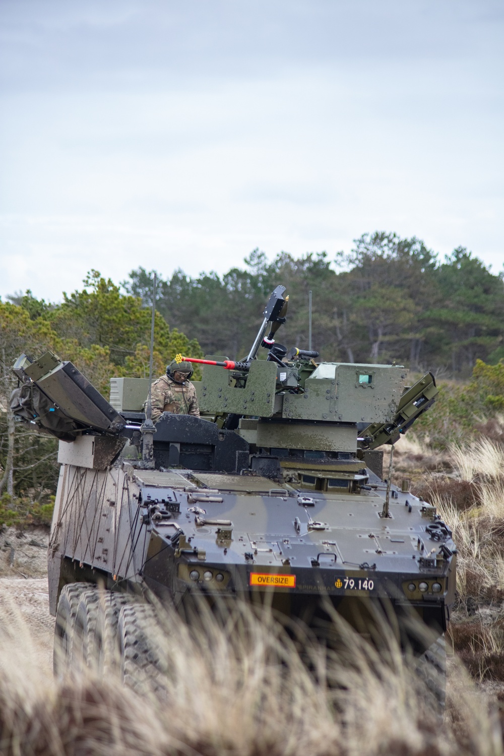 Danish 1st Artillery Battalion Conducts live fire during Dynamic Front 23