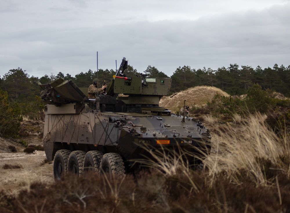 Danish 1st Artillery Battalion Conducts live fire during Dynamic Front 23