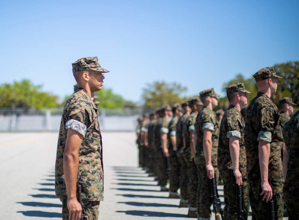 Echo Company Drill Practice