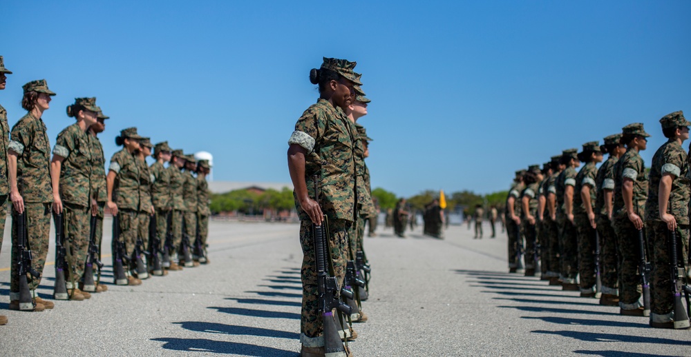 Echo Company Drill Practice