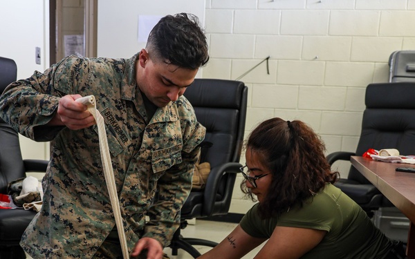 3d MEB and TF 76/3 TCCC Training