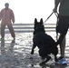 CJTF-HOA MWD team conducts water aggression training with a French Armed Forces MWD team