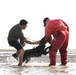 CJTF-HOA MWD team conducts water aggression training with a French Armed Forces MWD team