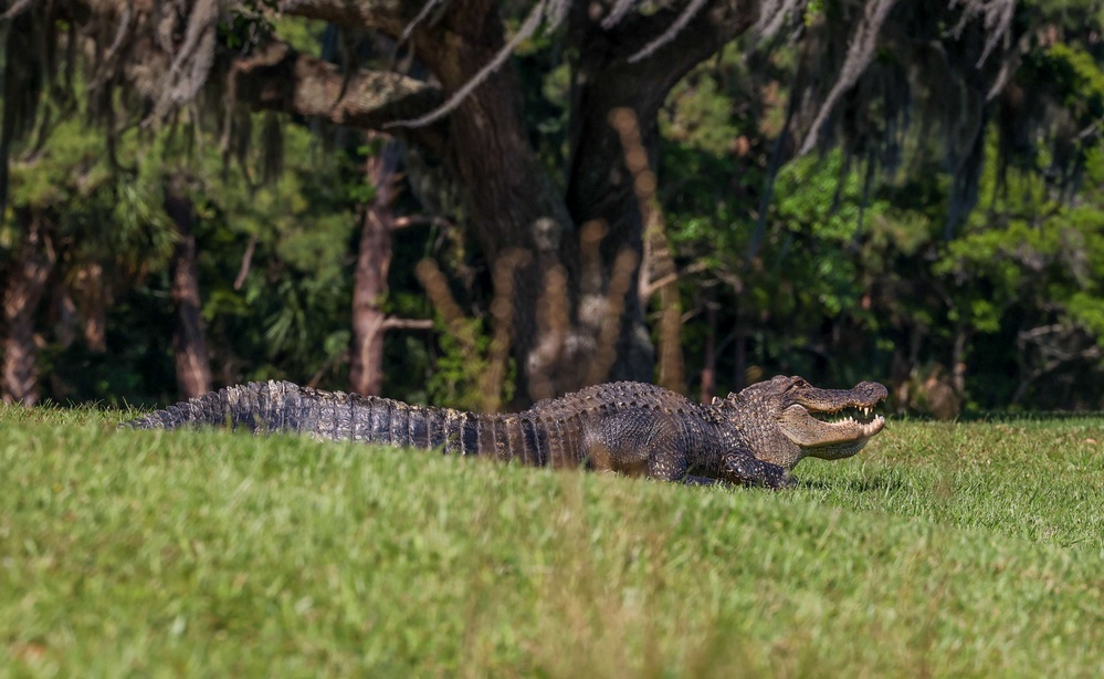 MCRD Parris Island Celebrates Earth Day