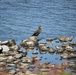 MCRD Parris Island Celebrates Earth Day