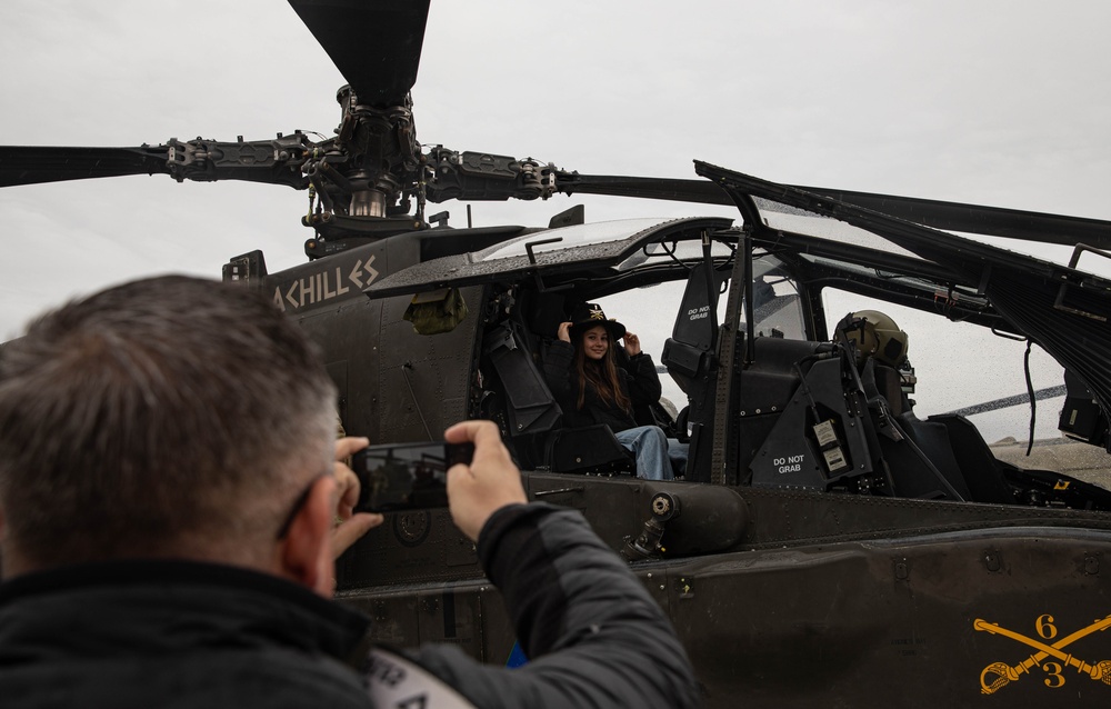 Combined arms static display