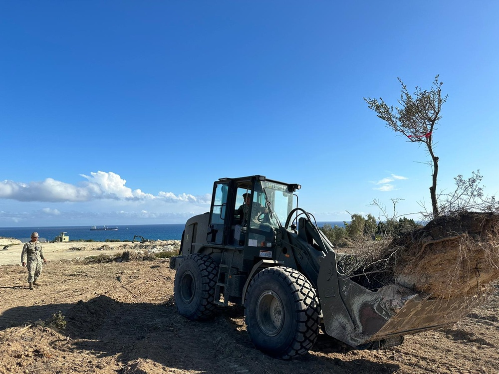 NMCB ONE Cyprus tree transplant