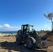 NMCB ONE Cyprus tree transplant