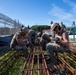 NMCB1 Seabee Tech Trainer