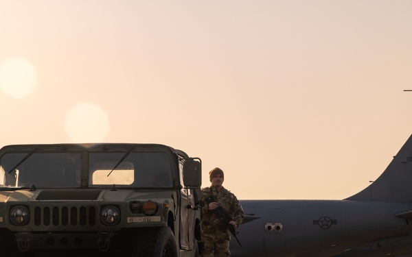 Security Forces guards the flight line during inspection