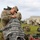 Texas Military Department Best Warrior Competition 2023