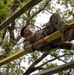 Texas Military Department Best Warrior Competition 2023