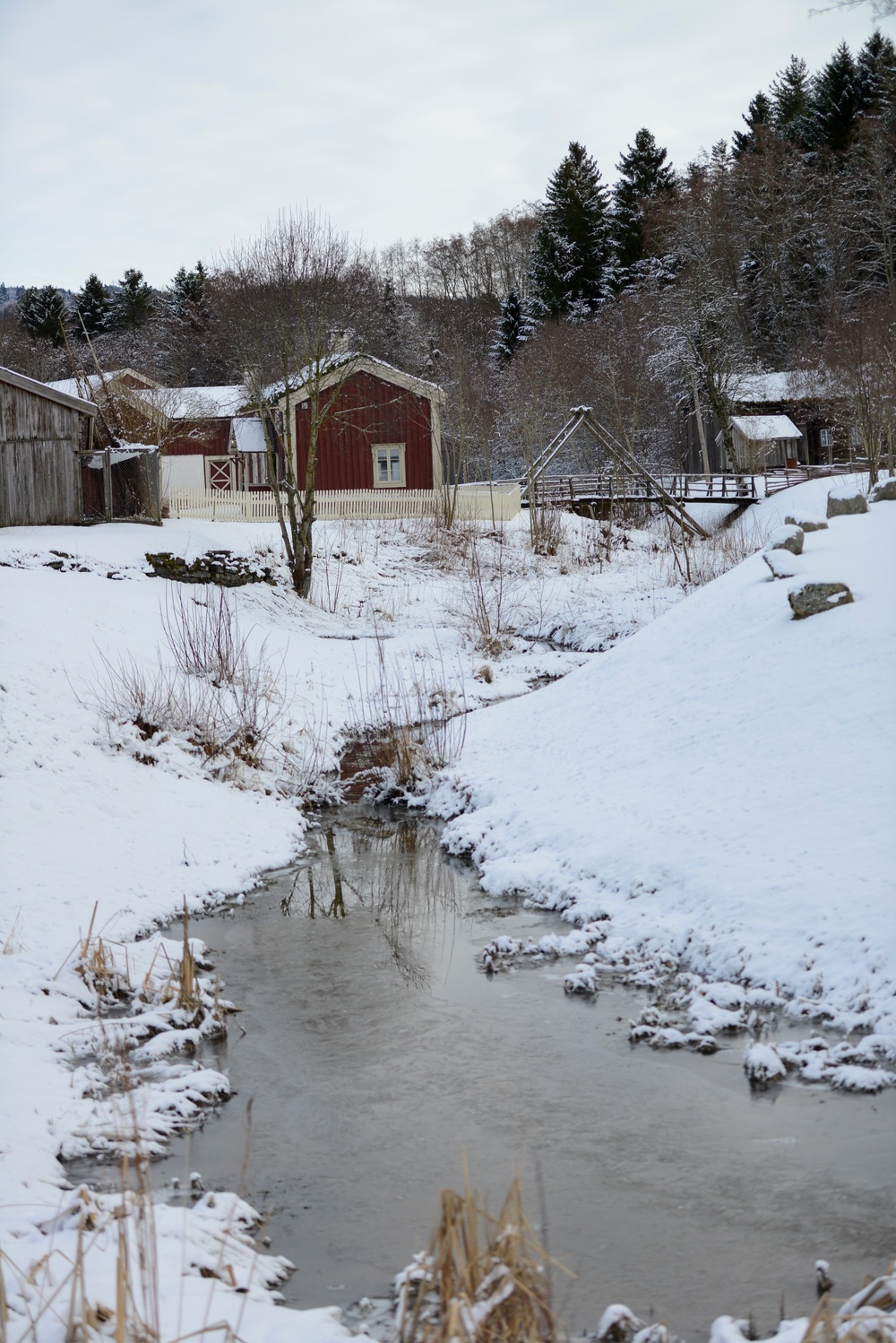 U.S. contingent leans into Norwegian culture